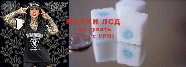 индика Дмитров