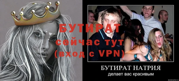 индика Дмитров