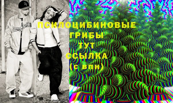 прущие крисы Гусиноозёрск