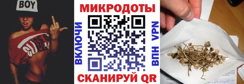 Псилоцибиновые грибы прущие грибы  Высоковск 